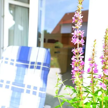 Apartment Flockengrund *
